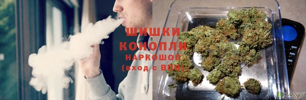 spice Горняк