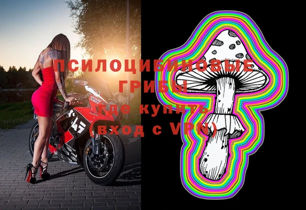 spice Горняк