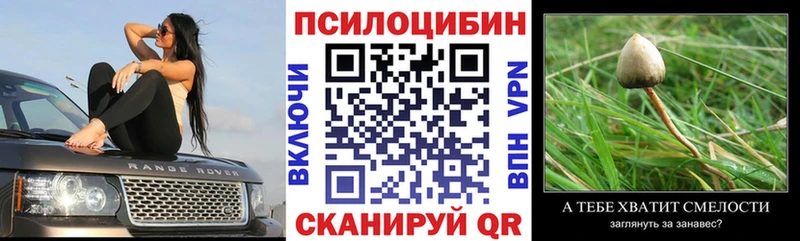 Галлюциногенные грибы Psilocybine cubensis  Купить где  Шебекино 
